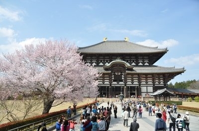 中國(guó)旅游團(tuán)在日本遭地接‘甩團(tuán)’ 旅游業(yè)務(wù)的反思與警示